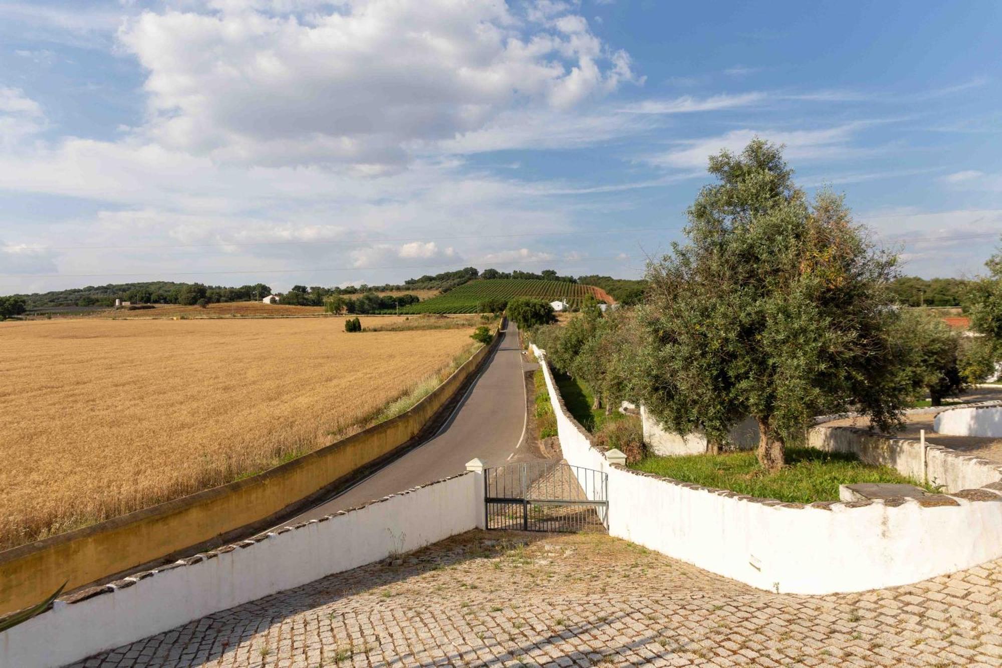 Monte Das Oliveiras - Casas De Campo Estremoz Luaran gambar
